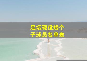 足坛现役矮个子球员名单表