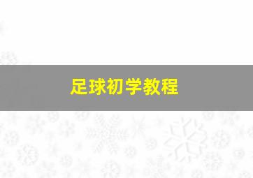 足球初学教程