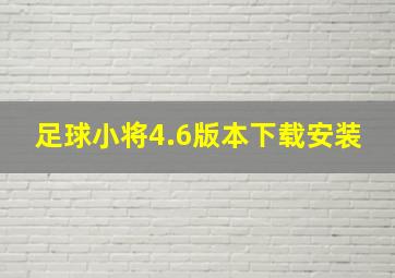 足球小将4.6版本下载安装