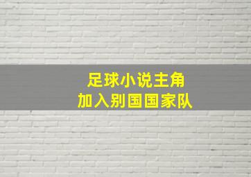 足球小说主角加入别国国家队