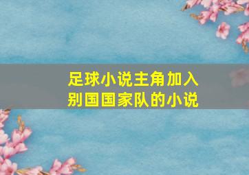 足球小说主角加入别国国家队的小说