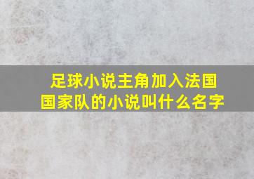 足球小说主角加入法国国家队的小说叫什么名字