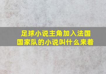 足球小说主角加入法国国家队的小说叫什么来着