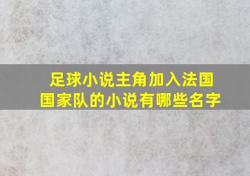 足球小说主角加入法国国家队的小说有哪些名字