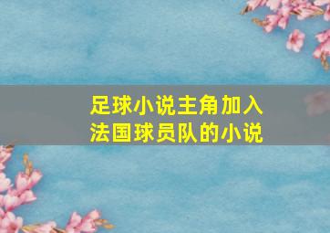 足球小说主角加入法国球员队的小说