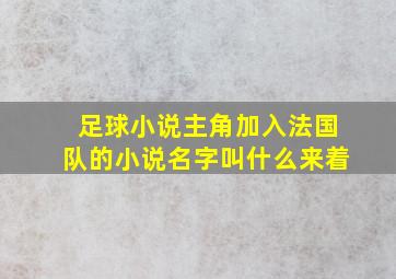 足球小说主角加入法国队的小说名字叫什么来着