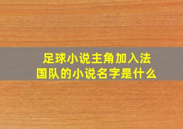 足球小说主角加入法国队的小说名字是什么