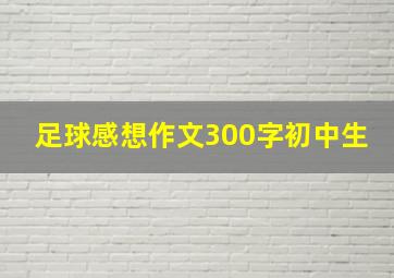 足球感想作文300字初中生