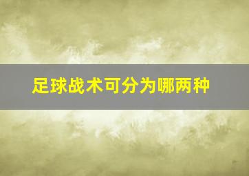 足球战术可分为哪两种