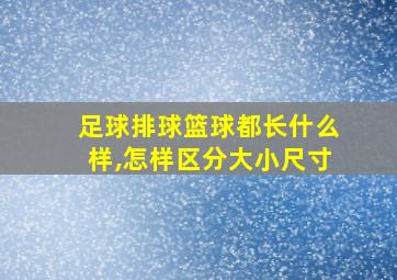 足球排球篮球都长什么样,怎样区分大小尺寸