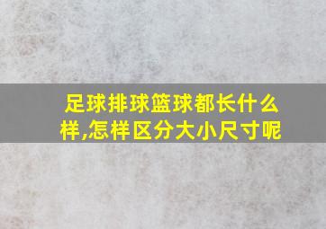 足球排球篮球都长什么样,怎样区分大小尺寸呢