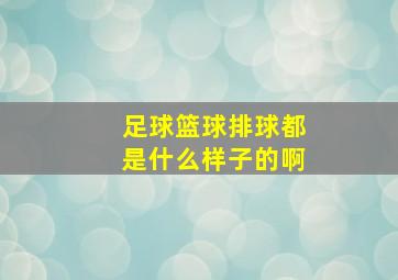 足球篮球排球都是什么样子的啊