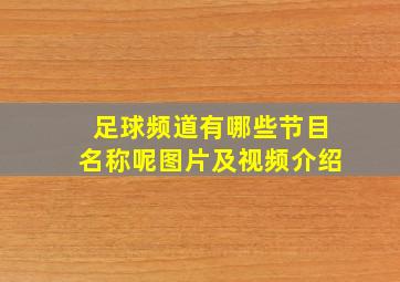 足球频道有哪些节目名称呢图片及视频介绍