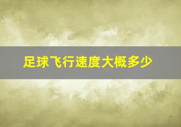 足球飞行速度大概多少