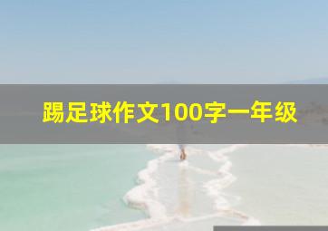 踢足球作文100字一年级