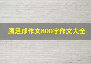 踢足球作文800字作文大全