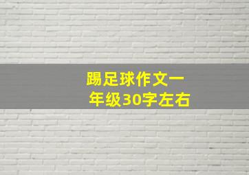 踢足球作文一年级30字左右