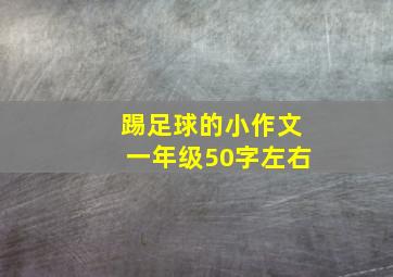 踢足球的小作文一年级50字左右