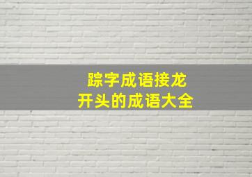 踪字成语接龙开头的成语大全