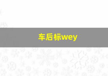 车后标wey