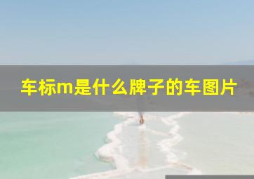 车标m是什么牌子的车图片