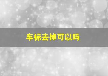 车标去掉可以吗