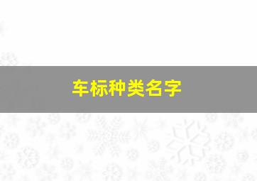 车标种类名字