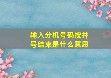 输入分机号码按井号结束是什么意思