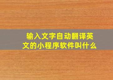 输入文字自动翻译英文的小程序软件叫什么