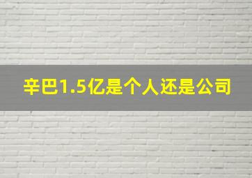 辛巴1.5亿是个人还是公司