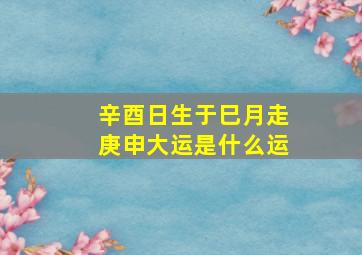 辛酉日生于巳月走庚申大运是什么运