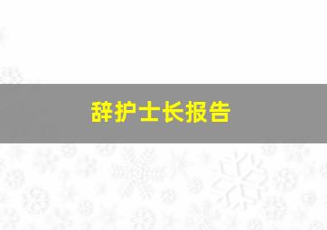 辞护士长报告