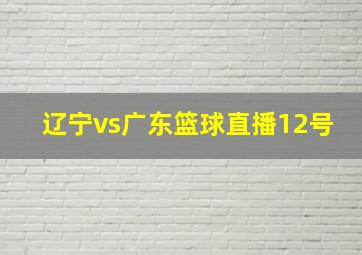 辽宁vs广东篮球直播12号