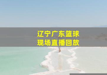 辽宁广东篮球现场直播回放