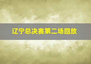 辽宁总决赛第二场回放