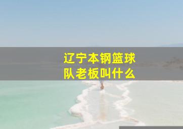 辽宁本钢篮球队老板叫什么