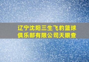 辽宁沈阳三生飞豹篮球俱乐部有限公司天眼查