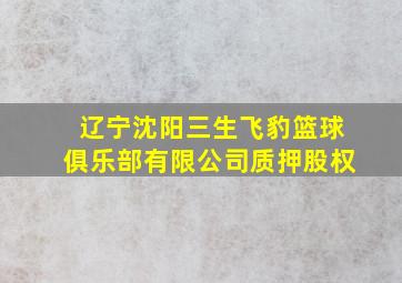 辽宁沈阳三生飞豹篮球俱乐部有限公司质押股权