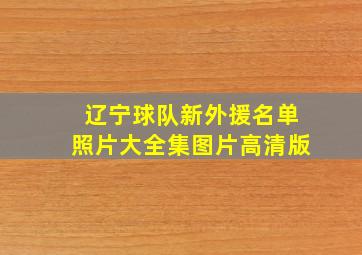 辽宁球队新外援名单照片大全集图片高清版