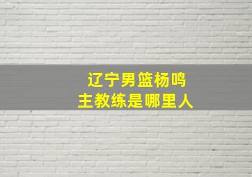 辽宁男篮杨鸣主教练是哪里人