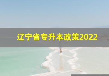 辽宁省专升本政策2022