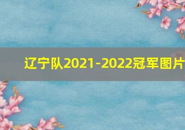 辽宁队2021-2022冠军图片