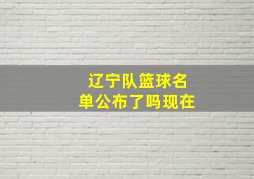 辽宁队篮球名单公布了吗现在