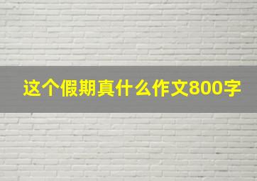 这个假期真什么作文800字