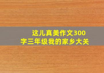 这儿真美作文300字三年级我的家乡大关