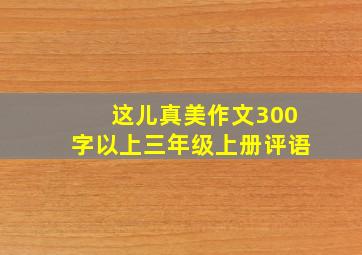 这儿真美作文300字以上三年级上册评语