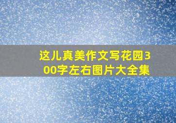 这儿真美作文写花园300字左右图片大全集