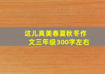 这儿真美春夏秋冬作文三年级300字左右