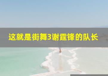 这就是街舞3谢霆锋的队长