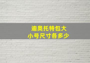 迪奥托特包大小号尺寸各多少